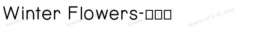 Winter Flowers字体转换